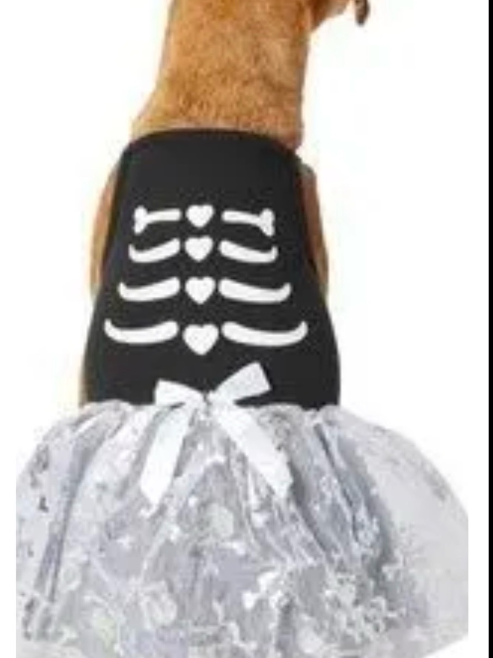 NWT Frisco Size Small “Skully Dress” With Tulle, Skulls, Bow See Measurements